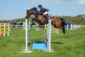 AGRICULTURAL SHOWS 2023 – BRITISH SHOWJUMPING SCOTLAND